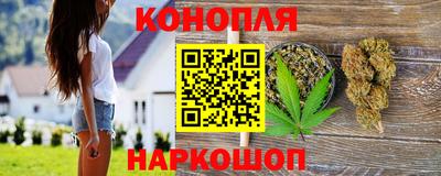 шишки Новодвинск