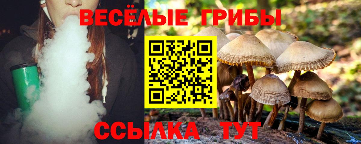 Псилоцибиновые грибы GOLDEN TEACHER  Вход с VPN  Саров 